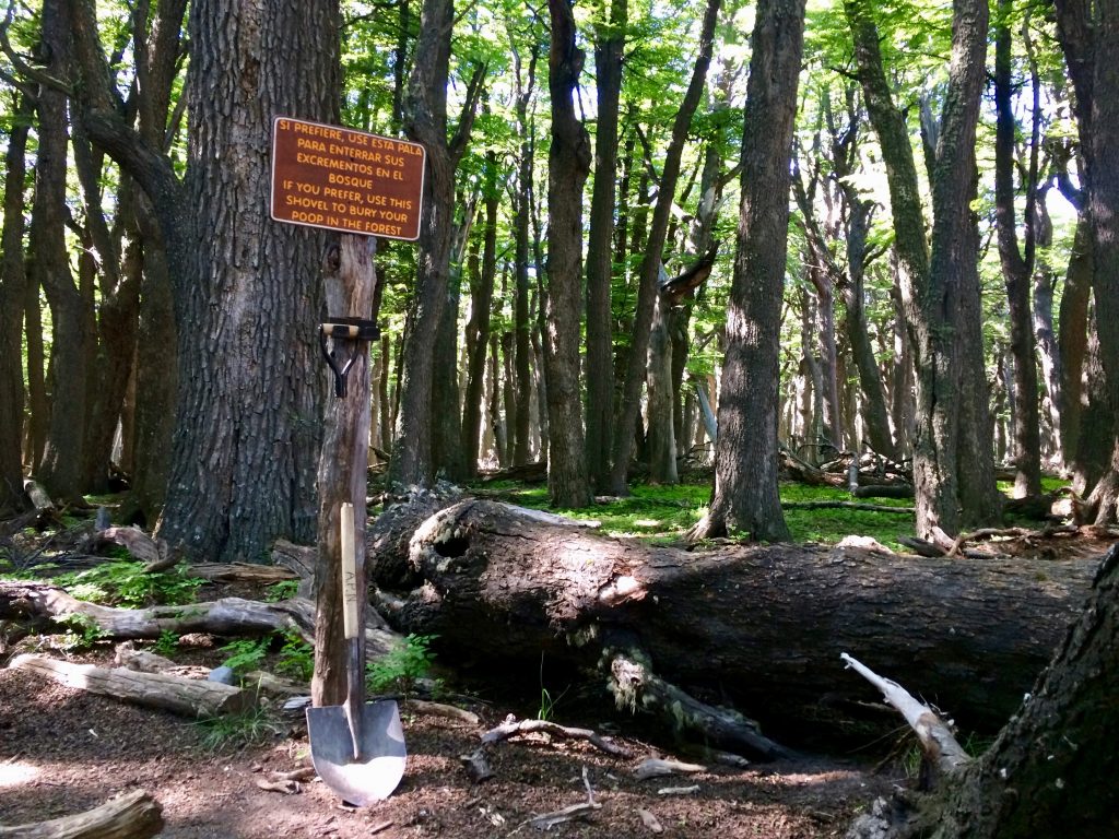 Schaufel im Wald als Toilette am Campamento Poincenot bei El Chaltén.
